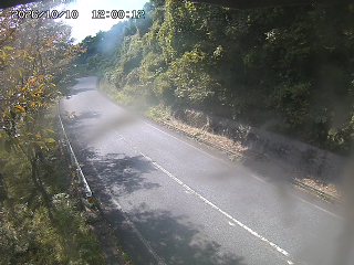 八頭町花原