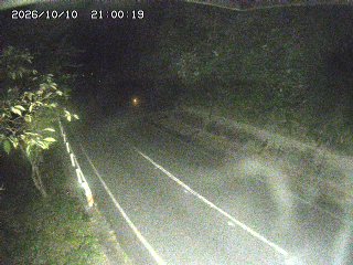八頭町花原