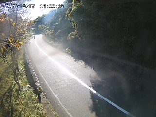 八頭町花原