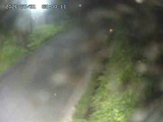 三朝町田代