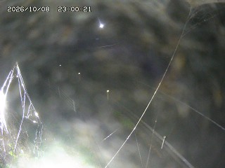 湯梨浜町宮内