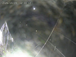 湯梨浜町宮内