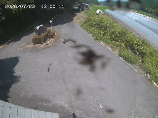 琴浦町福永