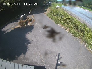 琴浦町福永
