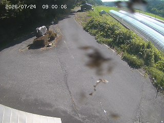 琴浦町福永