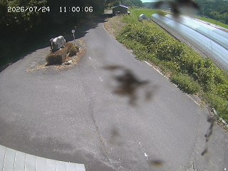 琴浦町福永