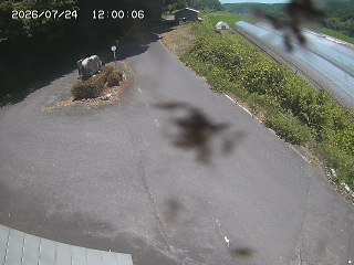琴浦町福永
