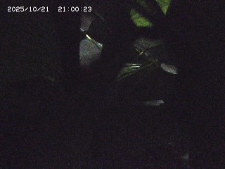 琴浦町尾張