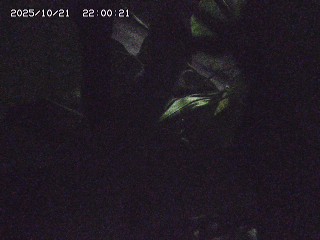 琴浦町尾張