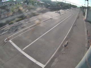 米子市福市