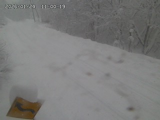 日南町阿毘縁【万丈峠】