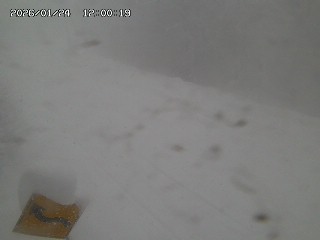 日南町阿毘縁【万丈峠】