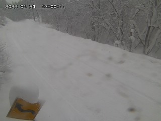 日南町阿毘縁【万丈峠】