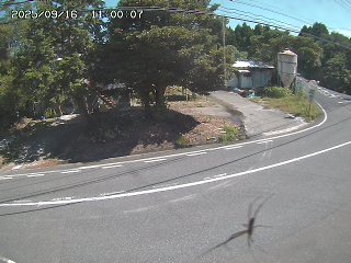 大山町東坪