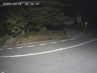 大山町東坪
