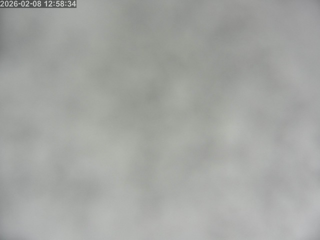 鳥取市白兎【JR立体交差南側】