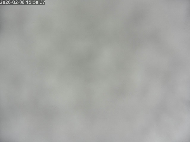 鳥取市白兎【JR立体交差南側】