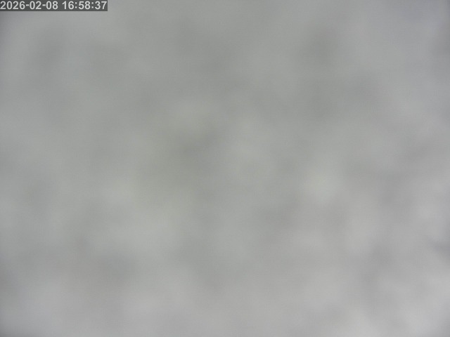 鳥取市白兎【JR立体交差南側】