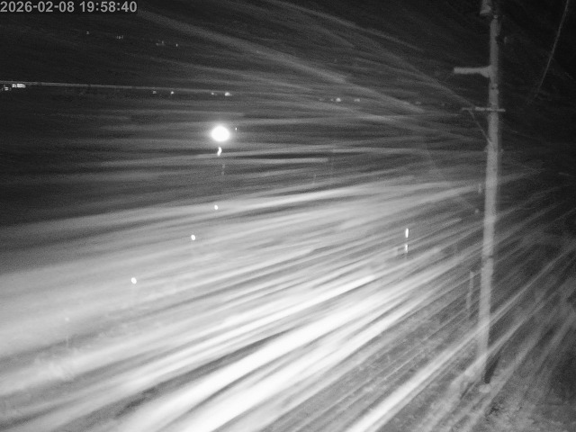 鳥取市白兎【JR立体交差南側】