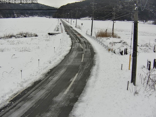 鳥取市白兎【JR立体交差南側】