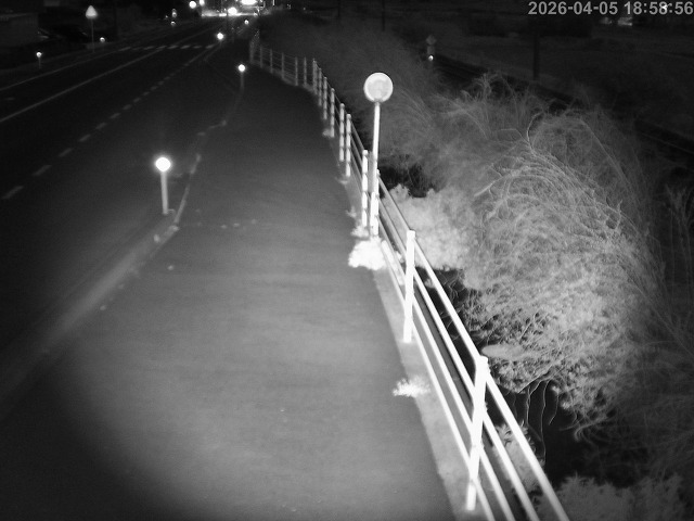 湯梨浜町方地～野花【東郷池周辺】