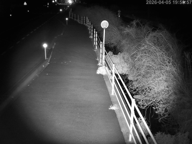 湯梨浜町方地～野花【東郷池周辺】