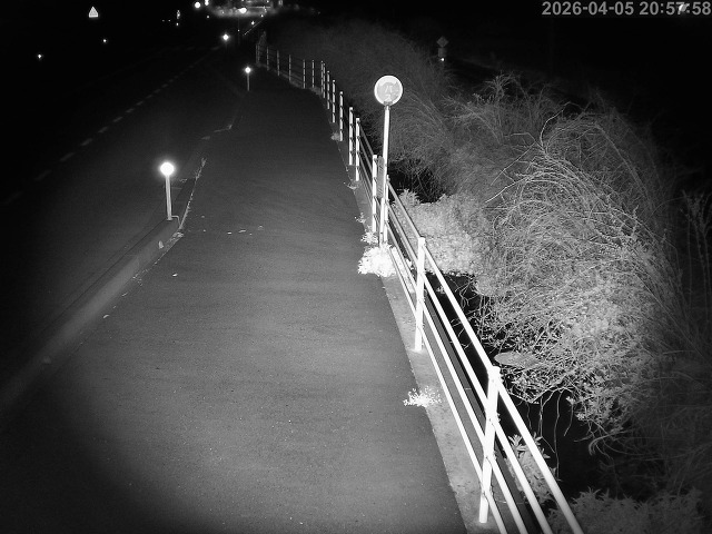 湯梨浜町方地～野花【東郷池周辺】