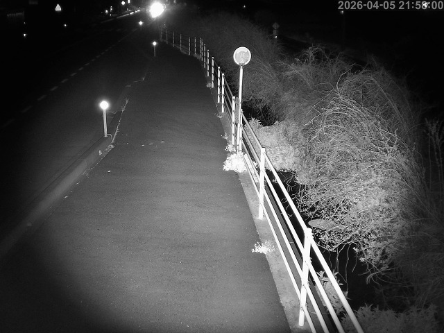 湯梨浜町方地～野花【東郷池周辺】