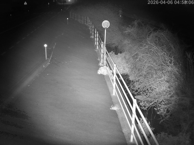 湯梨浜町方地～野花【東郷池周辺】