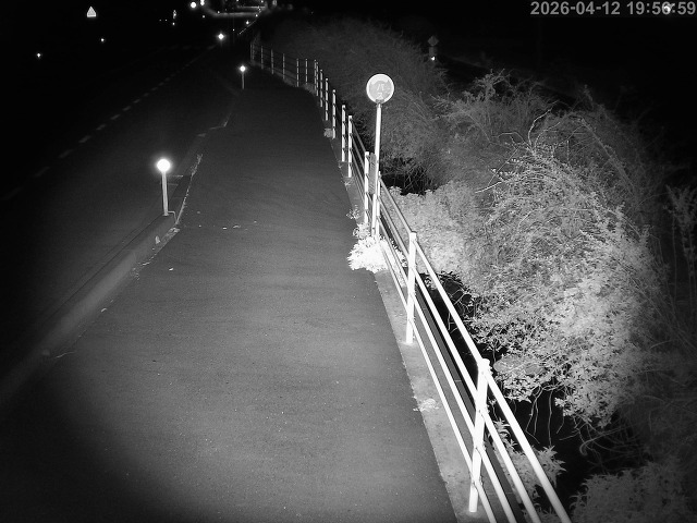 湯梨浜町方地～野花【東郷池周辺】