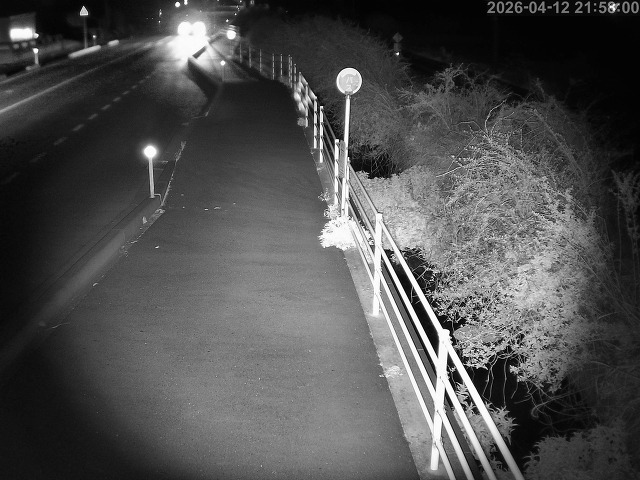 湯梨浜町方地～野花【東郷池周辺】