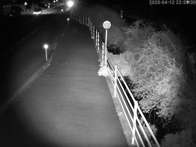 湯梨浜町方地～野花【東郷池周辺】