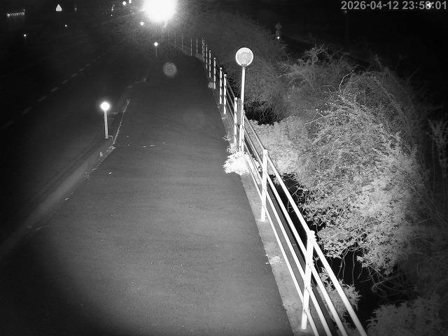 湯梨浜町方地～野花【東郷池周辺】