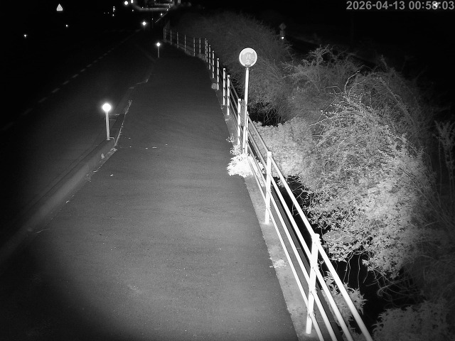 湯梨浜町方地～野花【東郷池周辺】