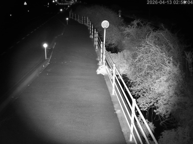 湯梨浜町方地～野花【東郷池周辺】