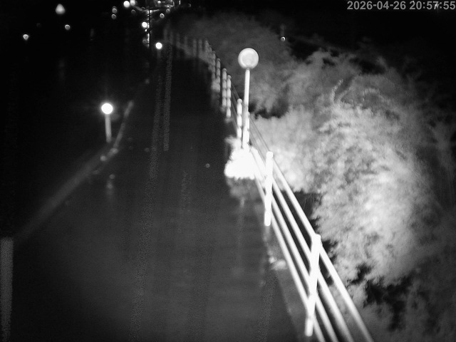 湯梨浜町方地～野花【東郷池周辺】