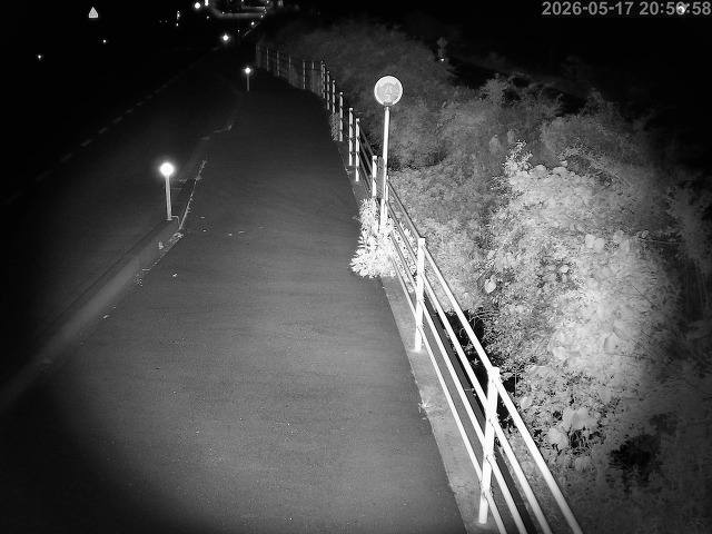 湯梨浜町方地～野花【東郷池周辺】