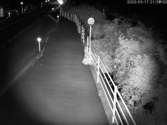 湯梨浜町方地～野花【東郷池周辺】