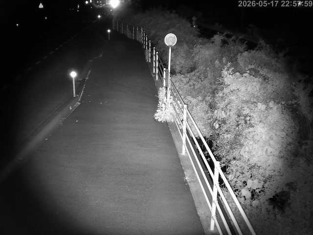 湯梨浜町方地～野花【東郷池周辺】