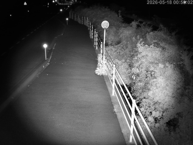 湯梨浜町方地～野花【東郷池周辺】