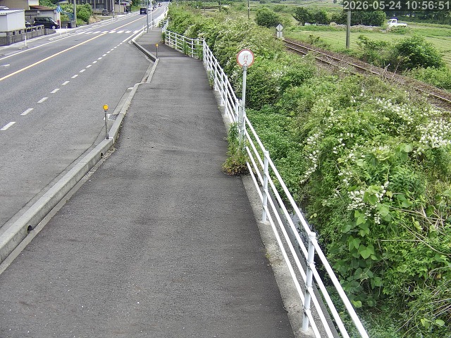 湯梨浜町方地～野花【東郷池周辺】