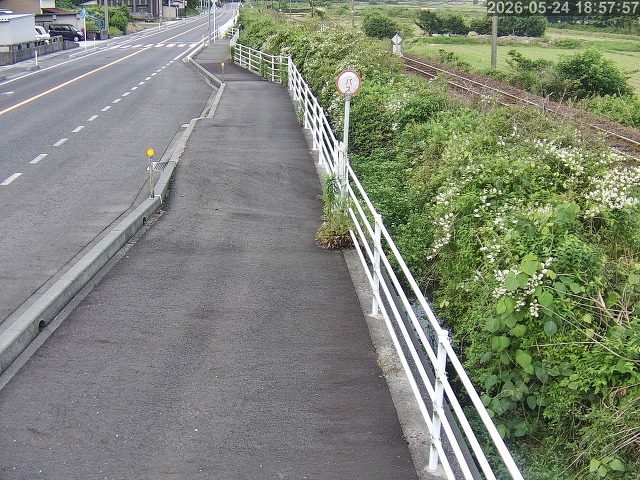 湯梨浜町方地～野花【東郷池周辺】