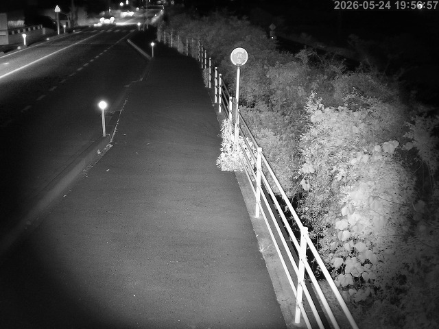 湯梨浜町方地～野花【東郷池周辺】