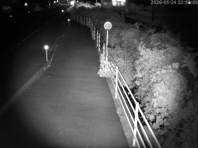 湯梨浜町方地～野花【東郷池周辺】