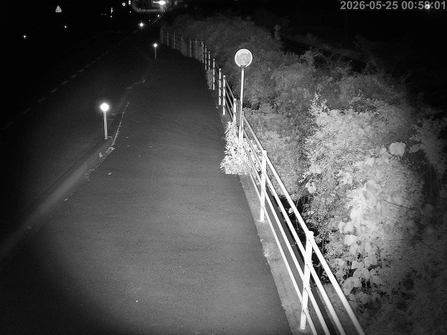 湯梨浜町方地～野花【東郷池周辺】