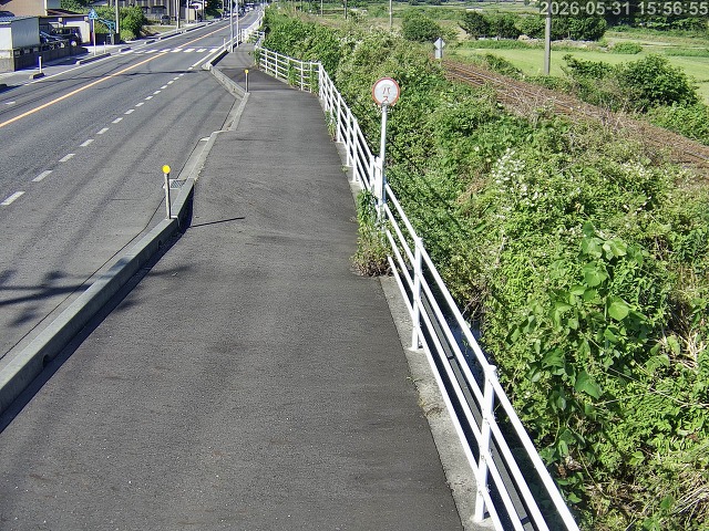 湯梨浜町方地～野花【東郷池周辺】