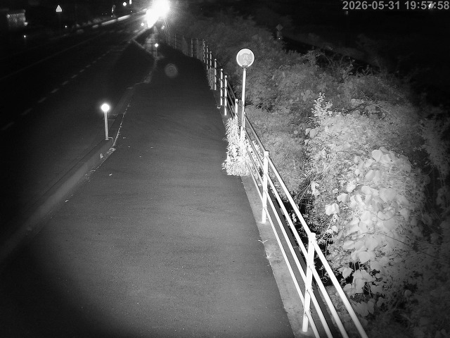 湯梨浜町方地～野花【東郷池周辺】
