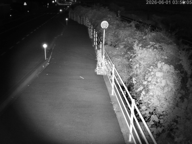 湯梨浜町方地～野花【東郷池周辺】
