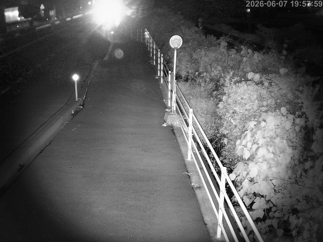 湯梨浜町方地～野花【東郷池周辺】