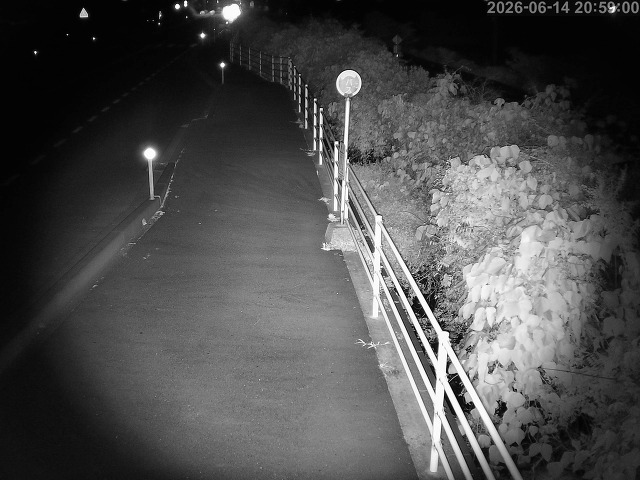 湯梨浜町方地～野花【東郷池周辺】